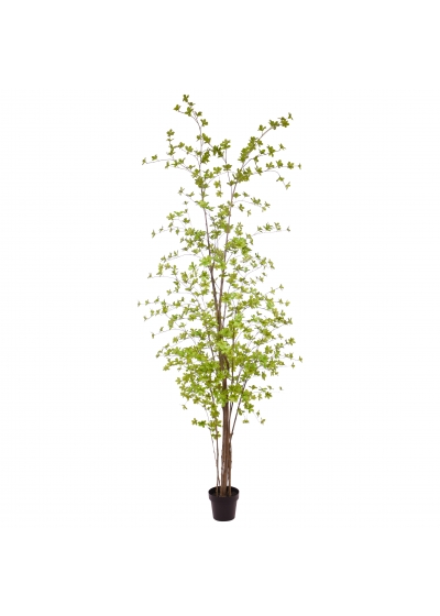 Enkianthus Albero Artificiale 225cm