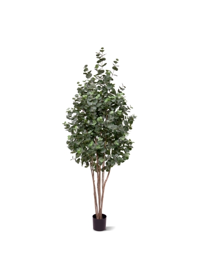 Eucalipto Albero Artificiale 205cm