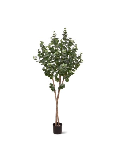Eucalipto Albero Artificiale su tronco 170cm