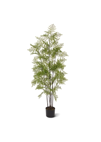 Felce Pteridium Pianta Artificiale 150cm