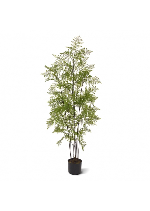 Felce Pteridium Pianta Artificiale 150cm