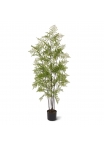 Felce Pteridium Pianta Artificiale 150cm