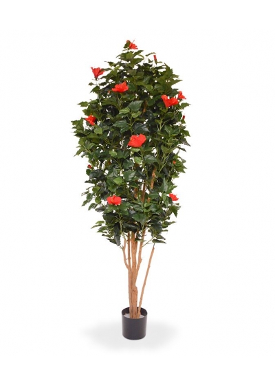 Ibisco Albero Artificiale 175cm - Rosso