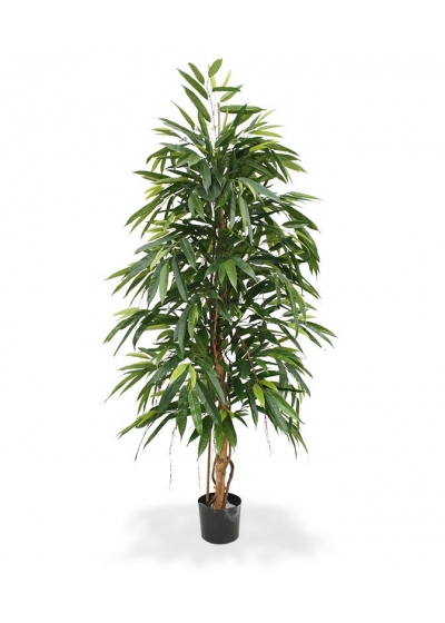 Longifolia Royal Albero Artificiale 175cm