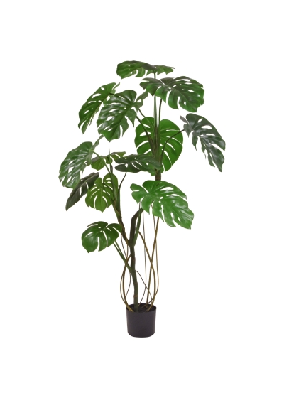Monstera Albero Artificiale 150cm RT