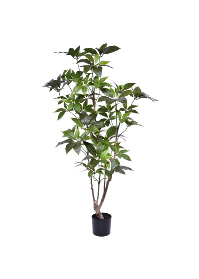 Schefflera Albero Artificiale 150cm
