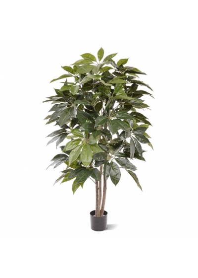 Schefflera Amate Albero Artificiale 150cm