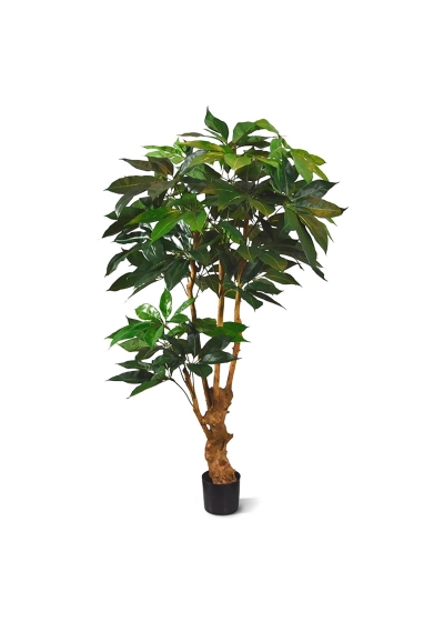 Schefflera Amate Albero Artificiale Deluxe 165cm