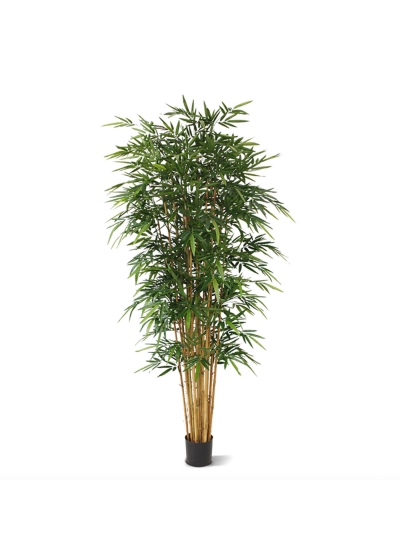 Bambù Artificiale Deluxe 240cm