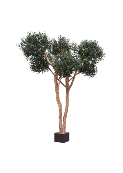 Ulivo Bonsai Albero Artificiale Deluxe 250cm