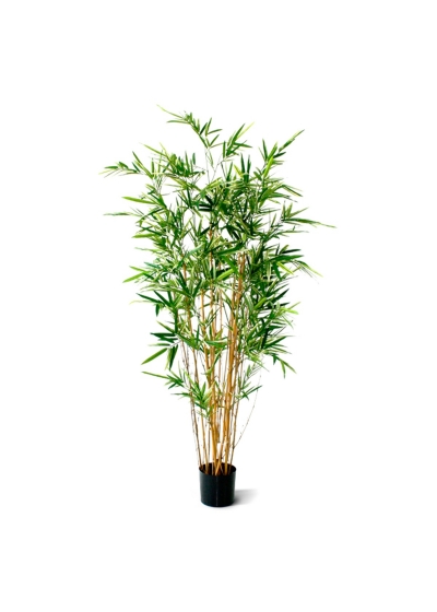 Bambù Artificiale 170cm - Variegato