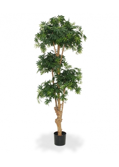Acero Bonsai Artificiale Deluxe 170cm - Verde