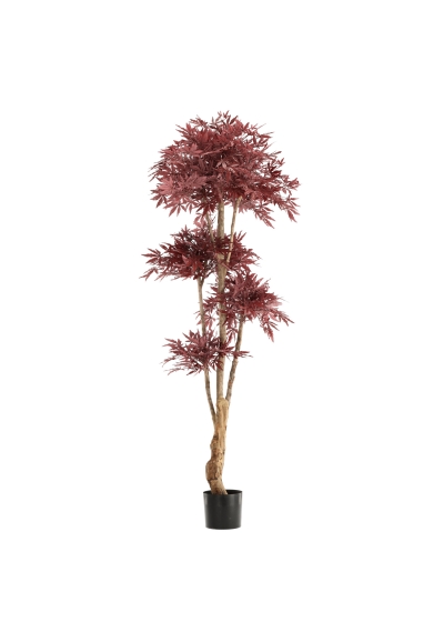 Acero giapponese Bonsai Artificiale Deluxe 180cm Burgundy