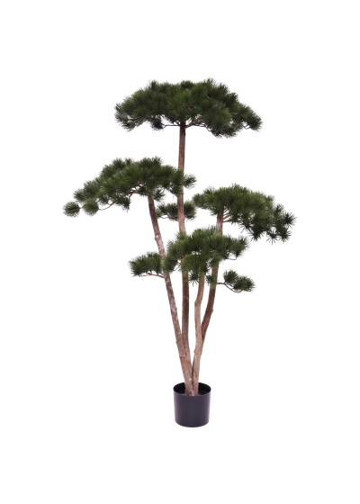 Pino Bonsai Albero Artificiale Deluxe 150cm