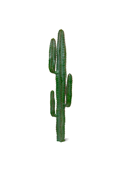 Euphorbia Cactus Artificiale 140cm