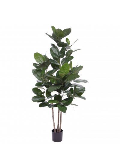 Ficus Audrey Pianta Artificiale 160cm