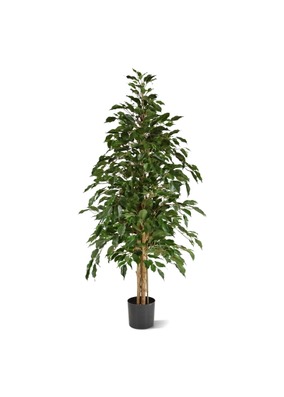 Ficus Exotica Albero Artificiale 150cm - Verde