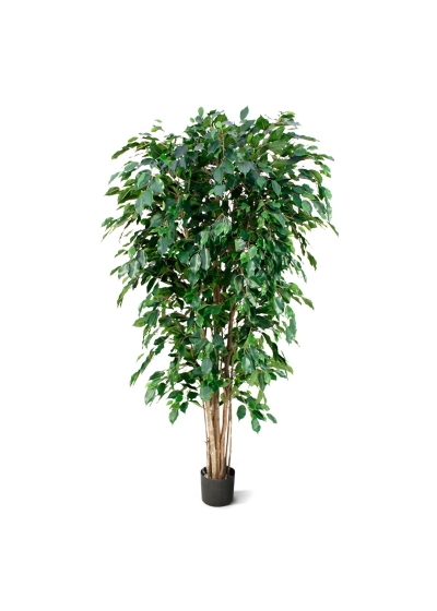 Ficus Exotica Albero Artificiale Deluxe 180cm - Verde