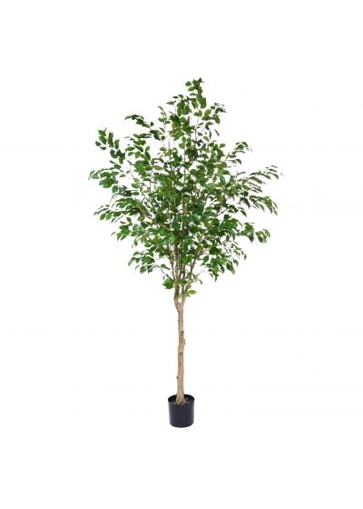 Ficus Exotica Albero Artificiale NT 190cm