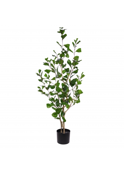 Ficus Exotica Albero Artificiale su tronco 230cm