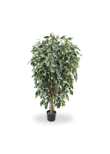 Ficus Exotica Artificiale Deluxe 150cm - Variegato