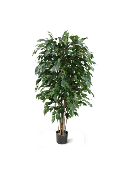 Ficus Exotica Artificiale Deluxe 150cm - Verde