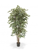 Ficus Exotica Artificiale Deluxe 210cm - Variegato