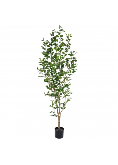 Ficus Exotica Pianta Artificiale NT 150cm