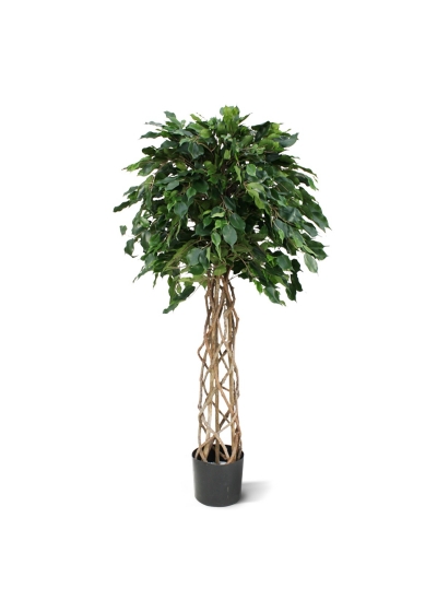 Ficus Exotica sfera Artificiale su tronco 150cm