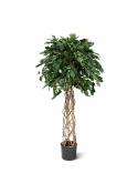 Ficus Exotica sfera Artificiale su tronco 150cm
