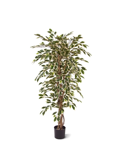 Ficus Hawaii Albero Artificiale 150cm