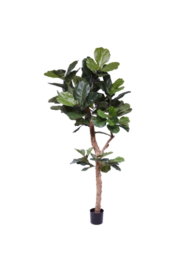 Ficus Lyrata Albero Artificiale Deluxe Y-stam 210cm