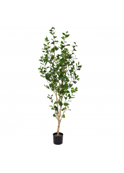 Ficus Triangularis Pianta Artificiale 150cm