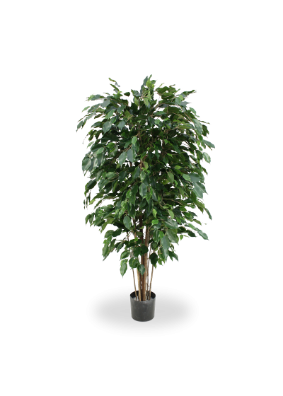 Ficus Exotica Deluxe Pianta Artificiale 150cm - Verde - Ignifugo