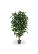 Ficus Exotica Deluxe Pianta Artificiale 150cm - Verde - Ignifugo