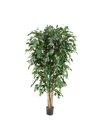 Ficus Exotica Deluxe Pianta Artificiale 180cm - Verde - Ignifugo