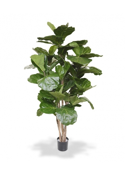 Ficus Lyrata Albero Artificiale Deluxe 170cm Ignifugo