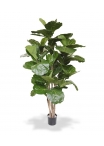 Ficus Lyrata Albero Artificiale Deluxe 170cm Ignifugo