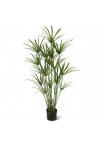 Papiro Artificiale Deluxe 135cm