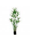 Papiro Artificiale Deluxe 175cm