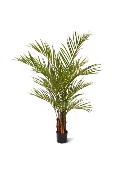 Areca Palma Artificiale Deluxe 150cm