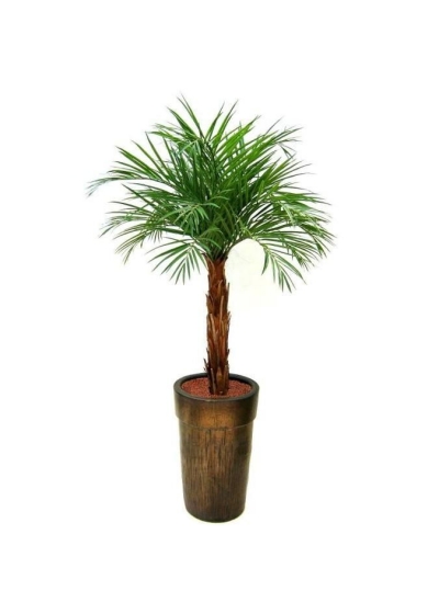 Areca Palma Artificiale su tronco 175cm