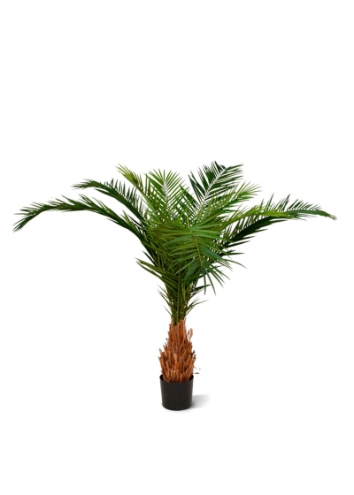 Canarie Phoenix Palma Artificiale Deluxe 210 cm