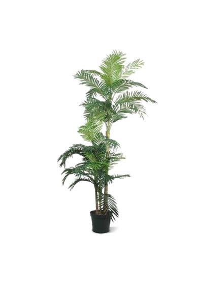 Golden Cane Areca Palma Artificiale 180cm