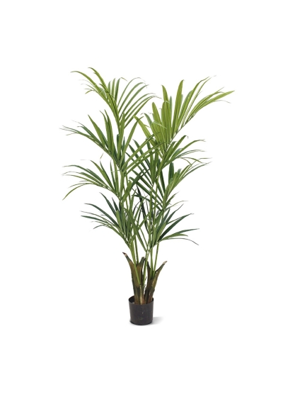 Kentia Deluxe Palma Artificiale 165cm