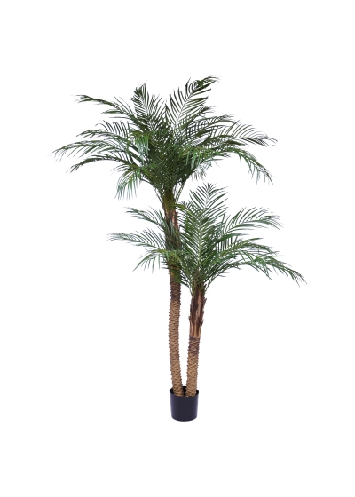 Palma Phoenix Deluxe 225cm