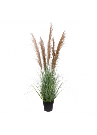 Pampas Pianta di Erba Artificiale 140cm Marrone