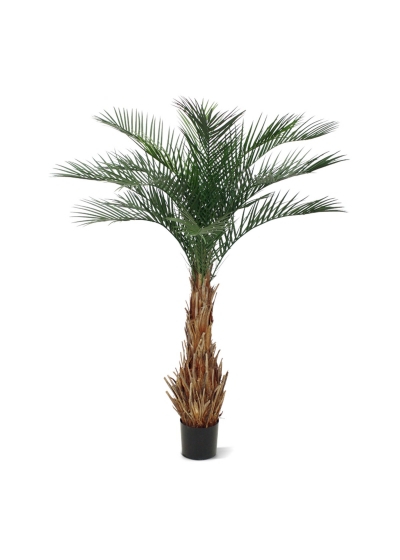 Phoenix Palma Artificiale Deluxe 180cm