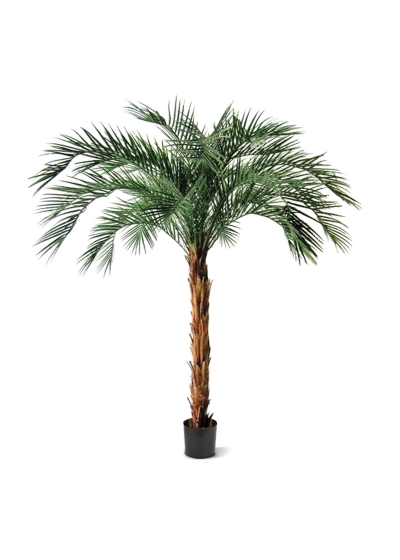 Phoenix Palma Artificiale Deluxe OD 225cm