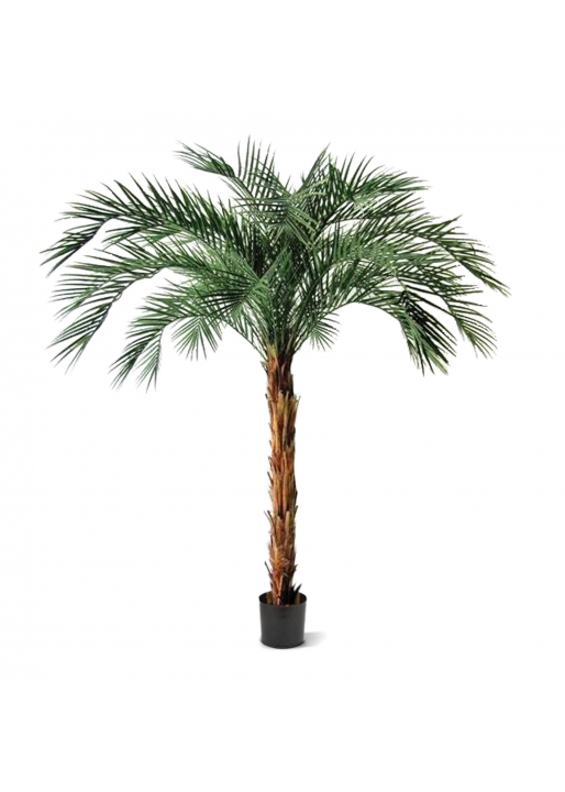 Phoenix Palma Artificiale Deluxe OD 225cm
